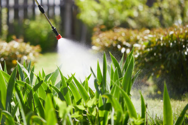 24/7 Emergency Ant Control experts in Randolph AFB, TX