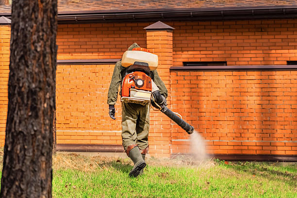 Trusted Termite Control service in Randolph AFB, TX - Nex Pest Control
